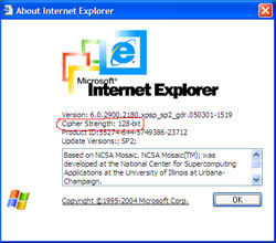 About Internet Explorer Dialog Box